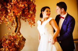Stefanos & Despoina Wedding “The wedding video clip”