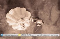 20 – Awarded wedding images, Βραβευμένες φωτογραφίες γάμου